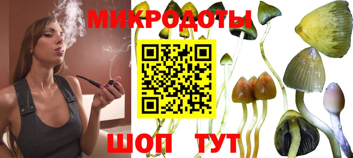 Псилоцибиновые грибы GOLDEN TEACHER  Псилоцибиновые грибы GOLDEN TEACHER  Евпатория  Вход с VPN 